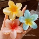 Beautiful Gradient Flower Hair Accessories Set Beach Style Hairpins Flower Claw Clips Summer Flower Hairpins Hawaiian Style