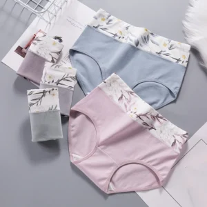 4PCS High Waist Women's Panties Breathable Cotton Panty Lovely Print Ladies Underwear Plus Size Female Lingerie Girls Briefs - Image 2